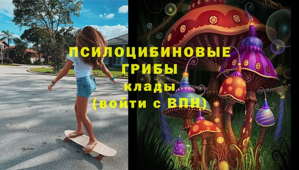 винт Алексин