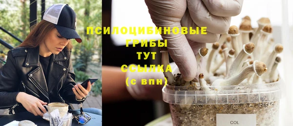 а пвп мука Алзамай