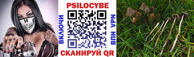 Галлюциногенные грибы MAGIC MUSHROOMS  даркнет сайт  Магадан 