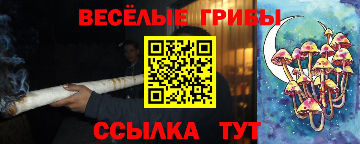 Галлюциногенные грибы мицелий  Вход с VPN  где можно купить наркотик  Магадан 